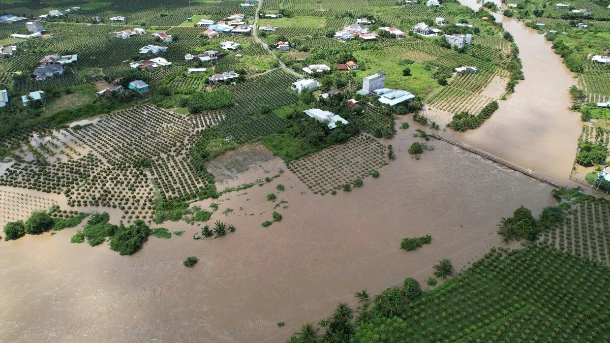 Nước ngập trắng 2 bên bờ sông Cà Ty khu vực xã Tuyên Quang (Ảnh: D.T)