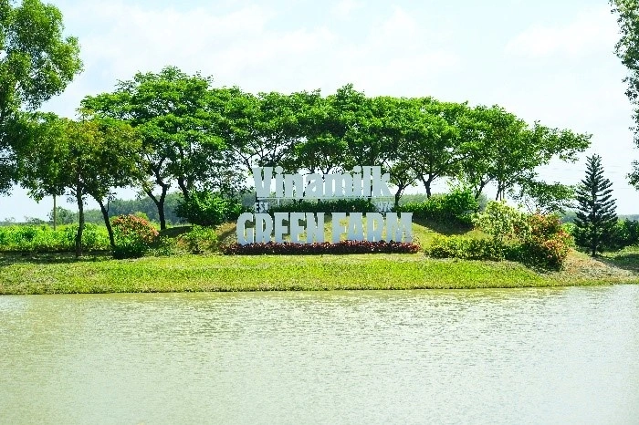 Trang trại bò sữa công nghệ cao của Vinamilk – một mắt xích quan trọng trong chuỗi sản xuất khép kín từ trang trại đến ly sữa, minh chứng cho tầm nhìn phát triển bền vững và cam kết mang đến