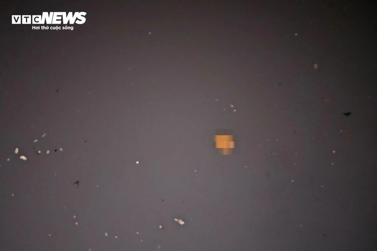 "Dưới này đủ mọi thứ rác rưởi mà mọi người vứt xuống, từ băng vệ sinh, bao cao su, kim tiêm tới cả chất thải của con người. Những ngày đầu làm việc, mình thấy buồn nôn lắm. Lâu dần guồng quay công việc cũng cuốn đi nỗi sợ hãi đó", công nhân Nguyễn Duy Thịnh chia sẻ.