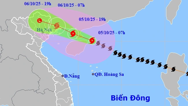 Vị trí và đường đi của cơ bão số 11