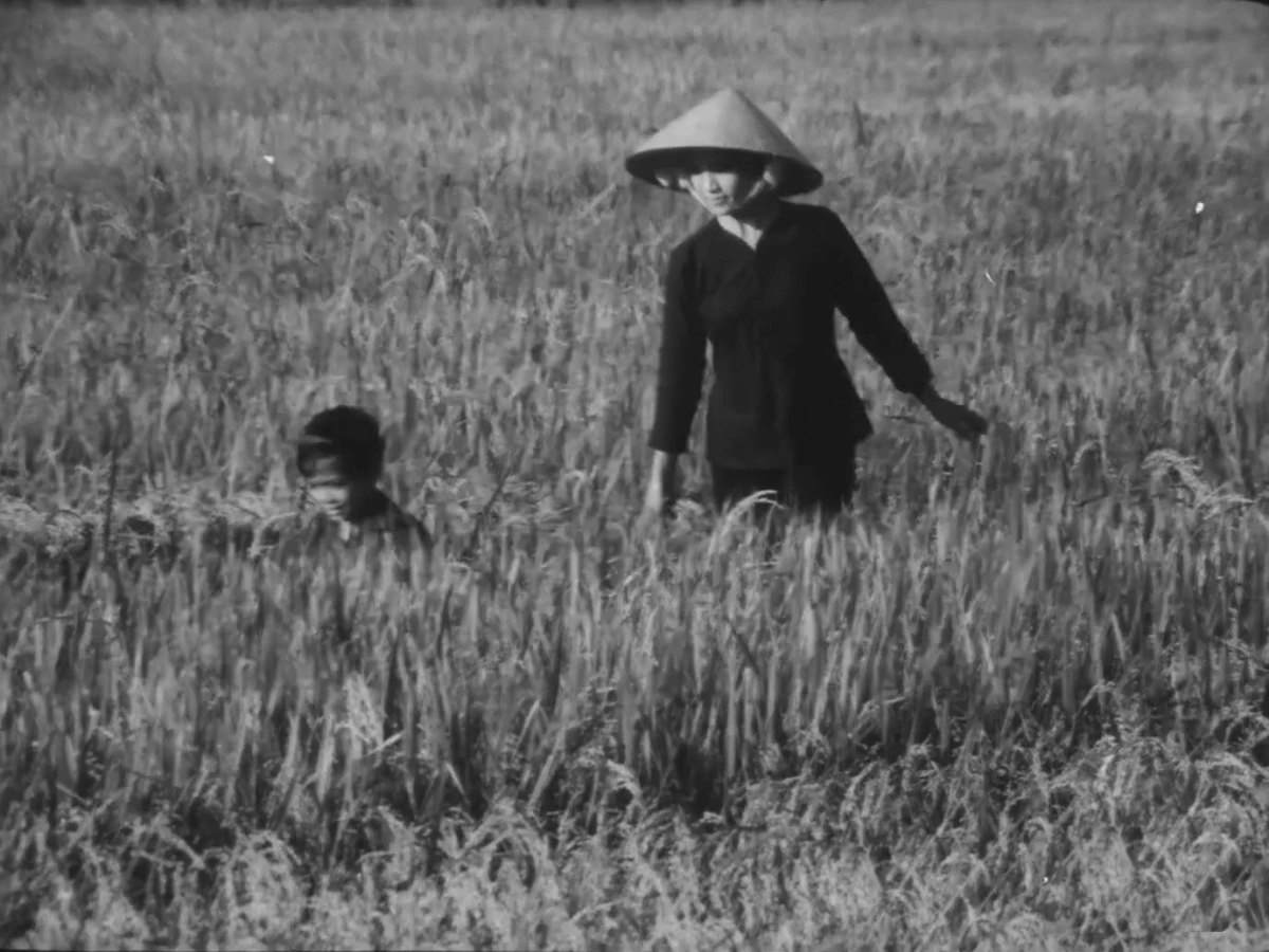 “Bao giờ cho đến tháng Mười” với những khung cảnh như một áng thơ buồn, thấm đẫm tình người. (Ảnh chụp màn hình phim)