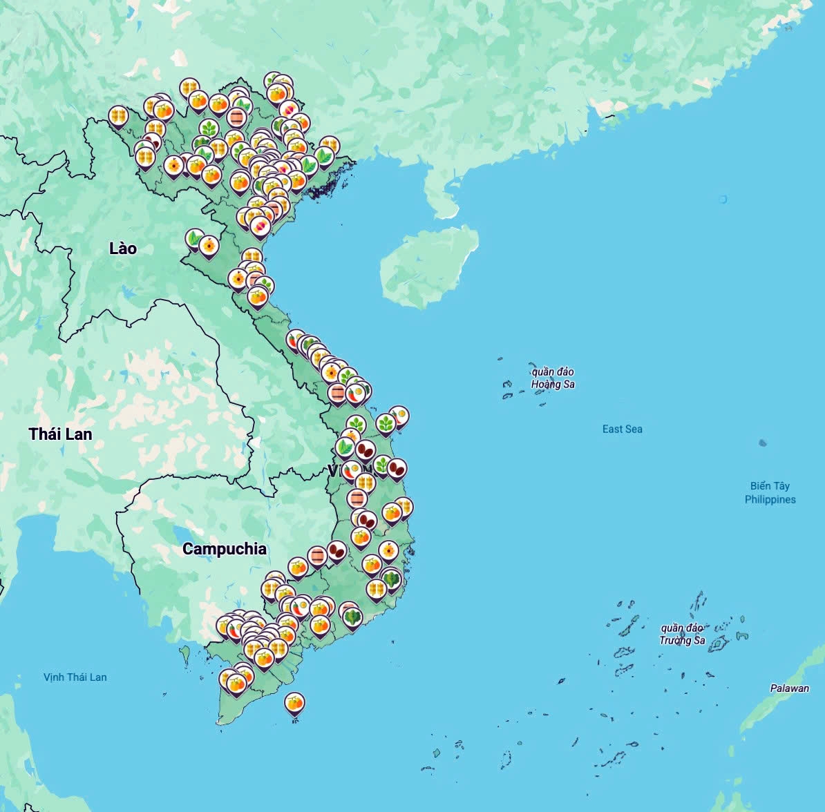 Bản đồ nông sản giúp khách tham quan dễ dàng tra cứu các sản phẩm đặc trưng tại 34 tỉnh, thành phố