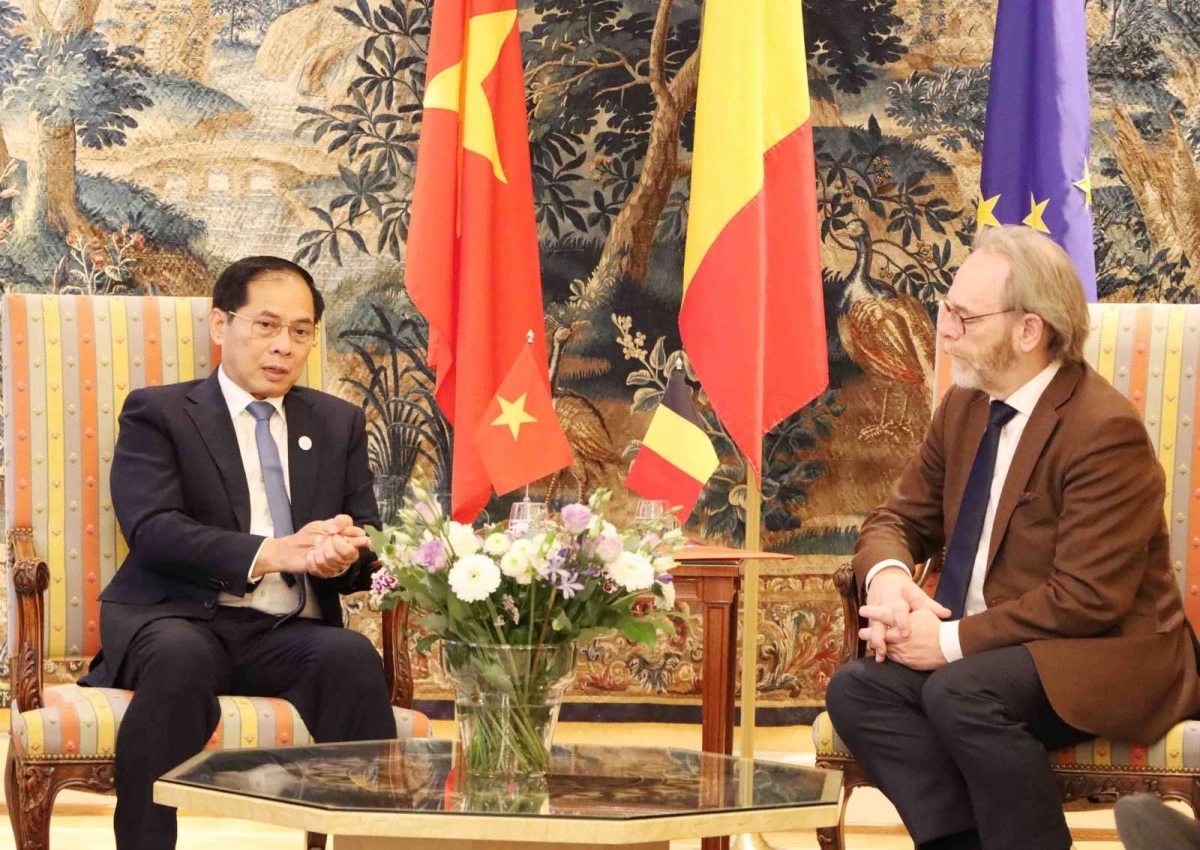 Phó Thủ tướng Bùi Thanh Sơn và Chủ tịch Hạ viện Liên bang Bỉ Peter De Roover.