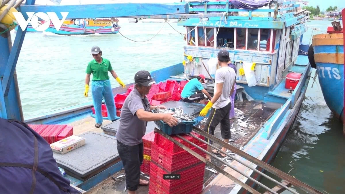 Chính phủ quyết định mở đợt cao điểm, kiên quyết xử lý triệt để với các hành vi vi phạm quy định về IUU; ngăn chặn, không để phát sinh tàu cá vi phạm khai thác bất hợp pháp ở vùng biển nước ngoài.