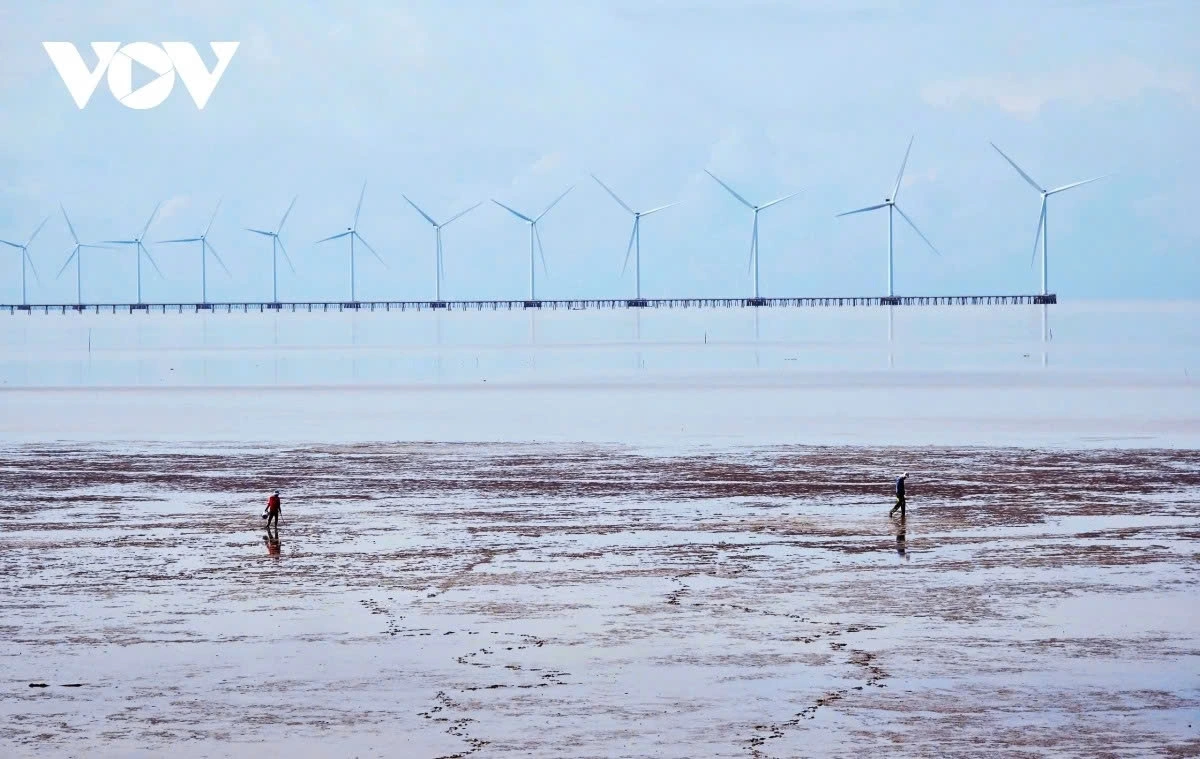 Bac Lieu also has favourite check-in spots such as the Hoa Binh 1 wind power project and Nha Mat tourist area.