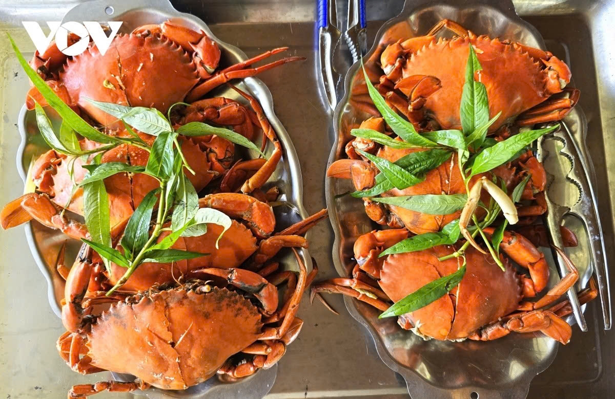 Specialties of Ca Mau and Bac Lieu (old) attract tourists.