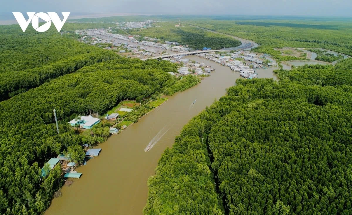 Former Ca Mau province holds strong potential for ecotourism development, thanks to its two distinctive ecosystems - expansive mangrove forests and rich marine and wetland areas.