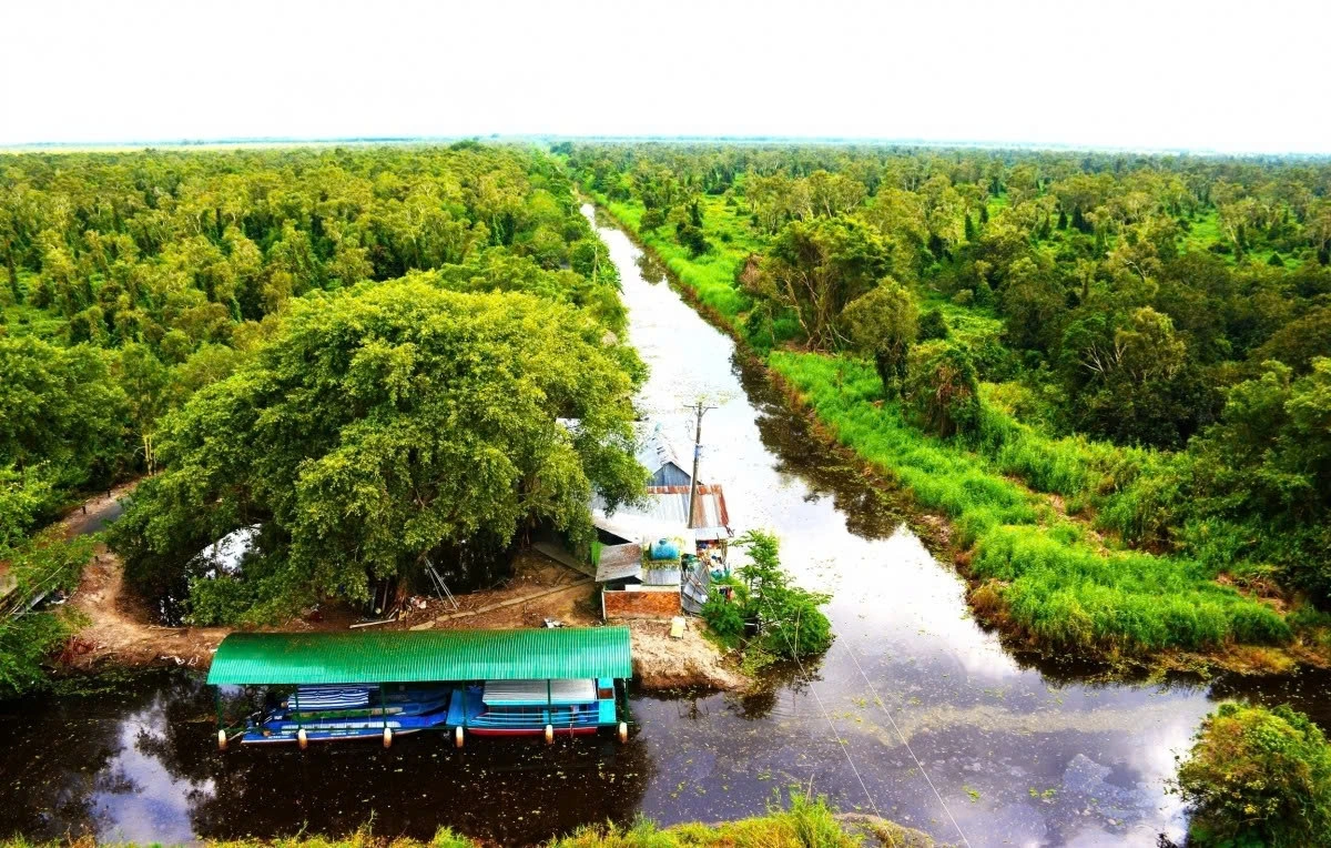 U Minh Ha National Park is among the three wetland reserves in the Mekong Delta. It is also recognised as one of the three core zones of the Ca Mau Cape World Biosphere Reserve by UNESCO.