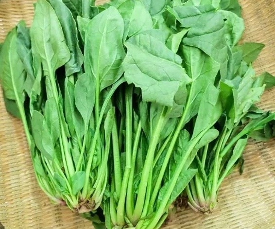 Cải bó xôi mang lại nhiều lợi ích cho sức khỏe, từ làm đẹp da, ngăn ngừa lão hóa đến hỗ trợ ổn định đường huyết và phòng ngừa tiểu đường