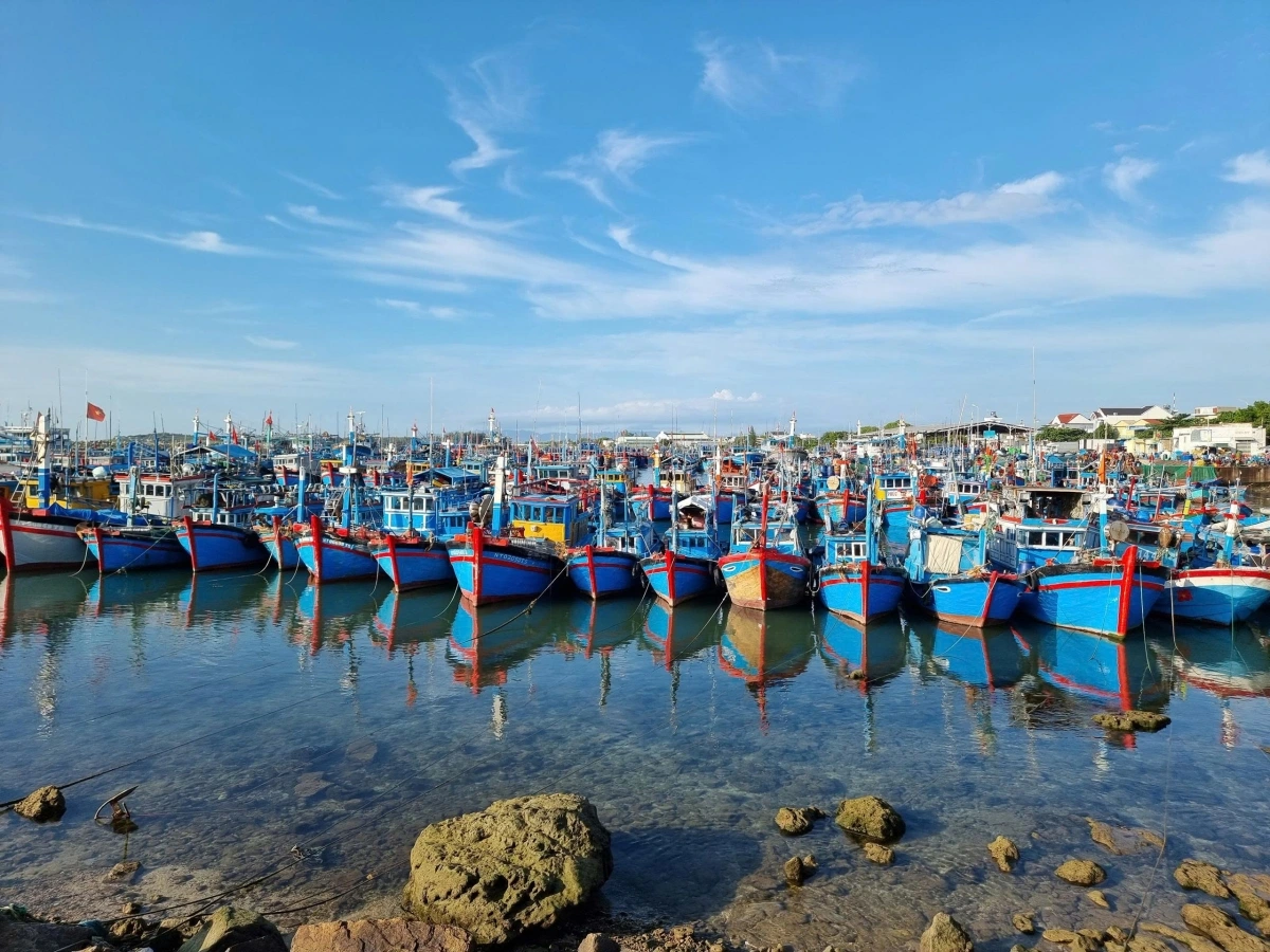 Tàu cá của ngư dân neo đậu tại cảng cá Mỹ Tân, tỉnh Khánh Hòa