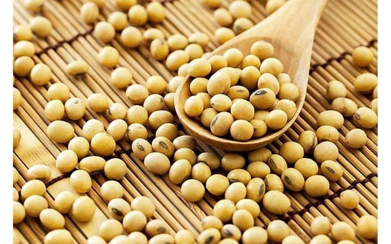 Hạt đậu nành là món ăn nhẹ bổ dưỡng, giàu protein, chất xơ, acid béo và các hợp chất thực vật có lợi