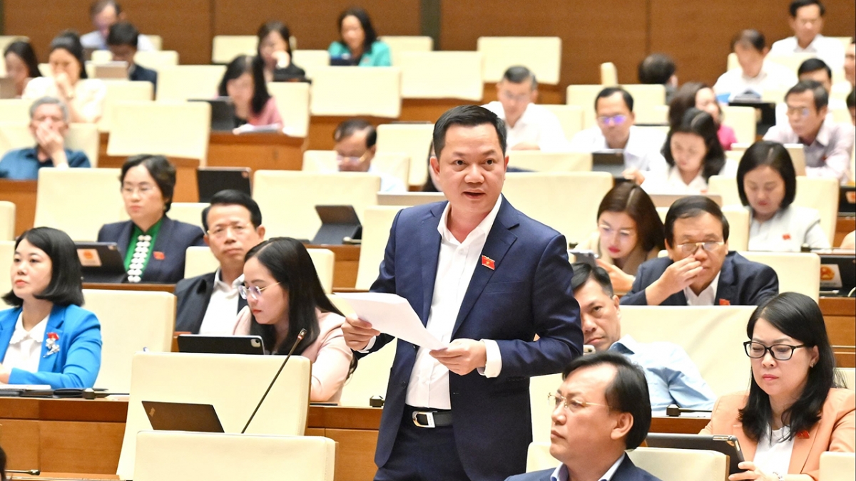 Đại biểu Trịnh Xuân An (Đoàn Đồng Nai)