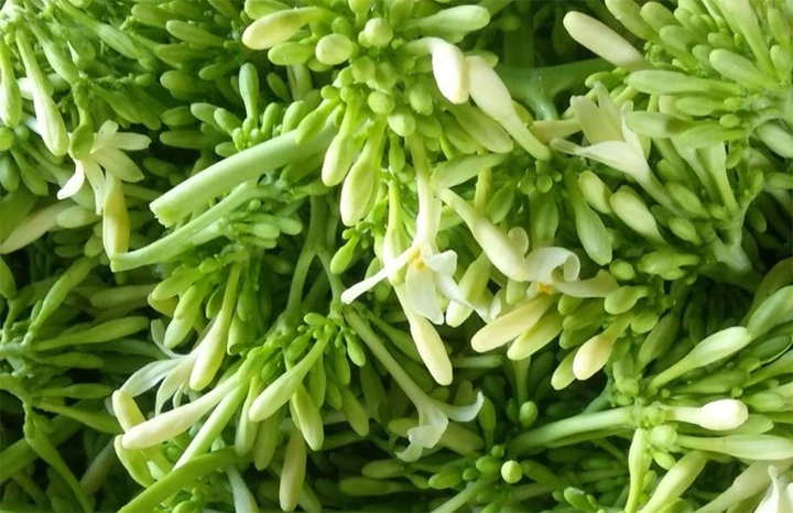 Hoa đu đủ đực