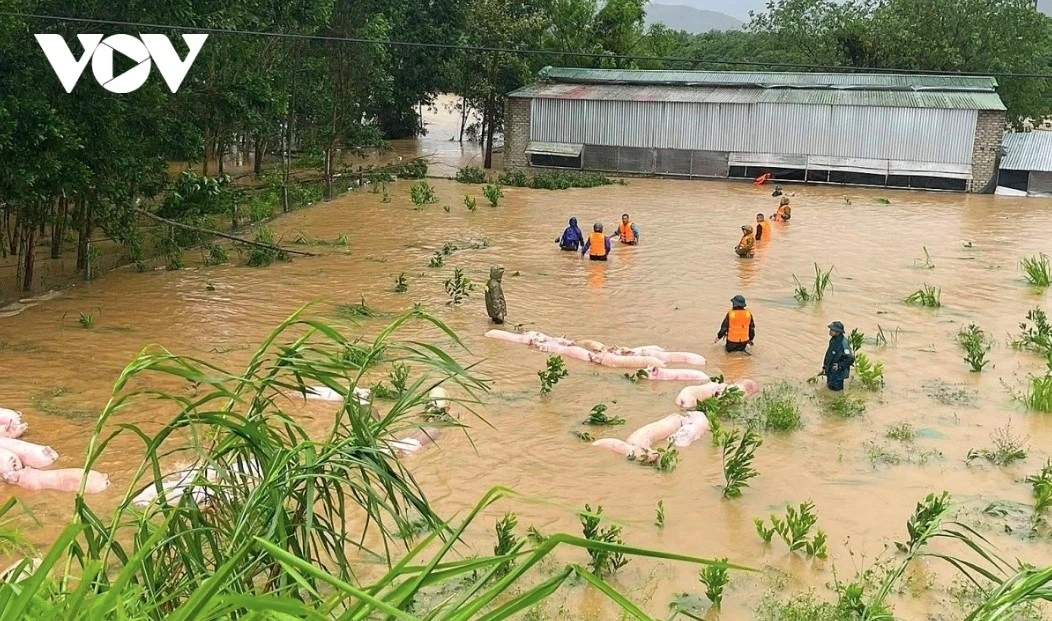 In Nghe An province, military units join residents in cleaning up heavily flooded areas