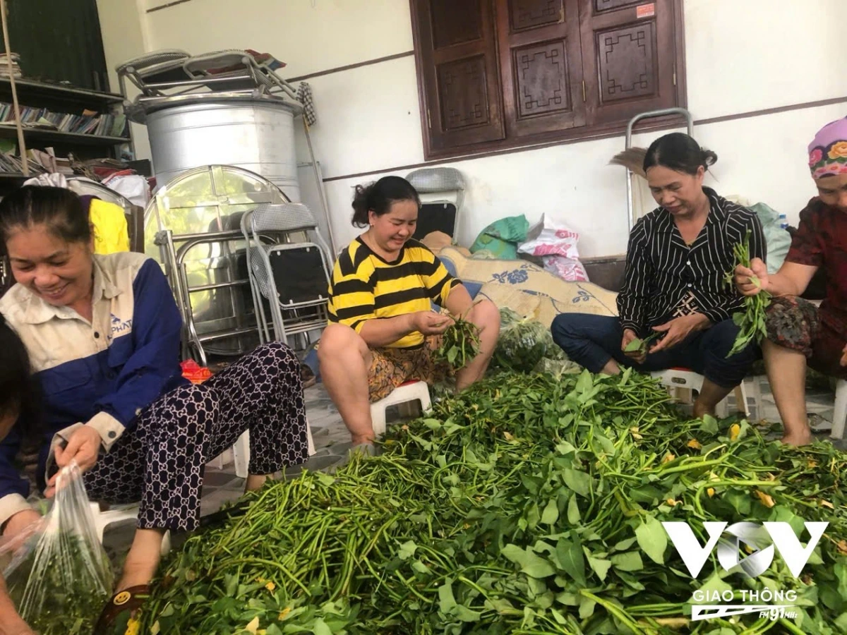 Những bó rau nghĩa tình được vận chuyển đến Thái Nguyên (Ảnh: Nhân vật cung cấp)