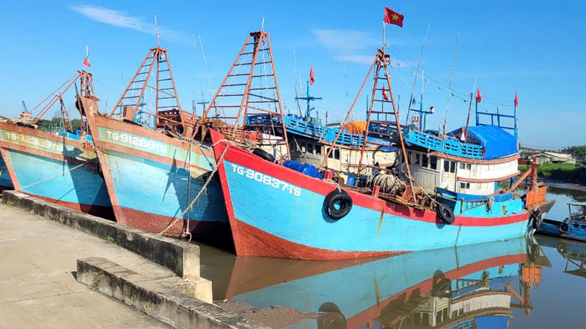 Đoàn tàu đánh cá của tỉnh Đồng Tháp đều hoạt động ổn định, chấp hành tốt quy định IUU