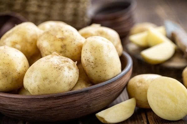 Khoai tây là thực phẩm bổ dưỡng, dễ chế biến nhưng cần được bảo quản đúng cách để đảm bảo an toàn sức khỏe