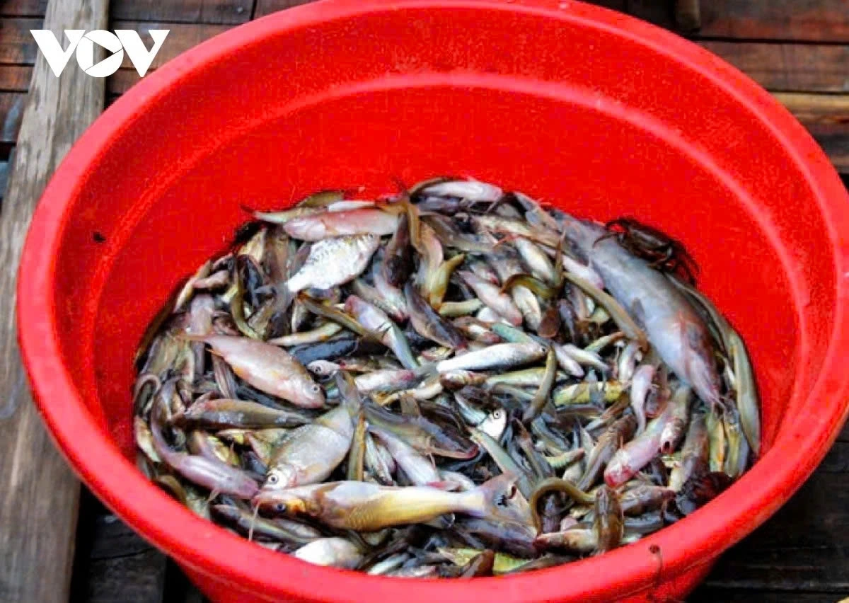 Fishes come with the rising waters, providing livelihoods for many local families.