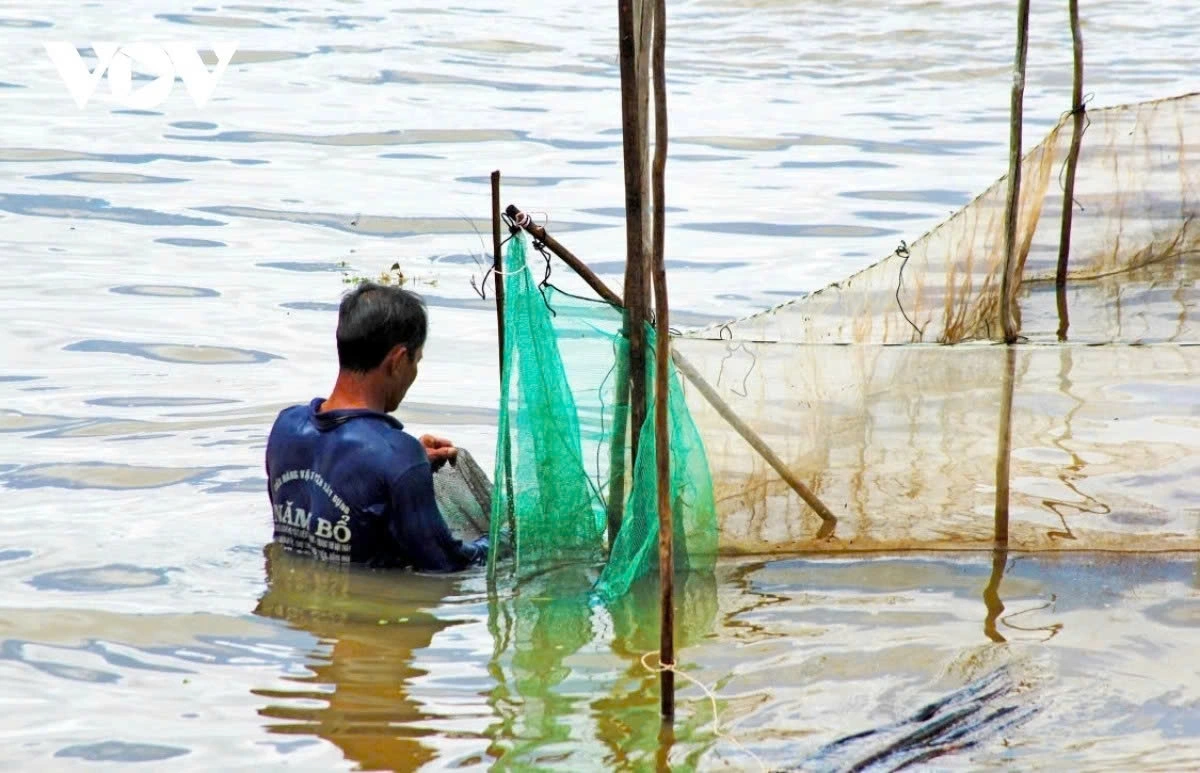 For most people in the Mekong Delta, the floating season evokes childhood memories of swimming and playing in the region’s vast flooded fields.