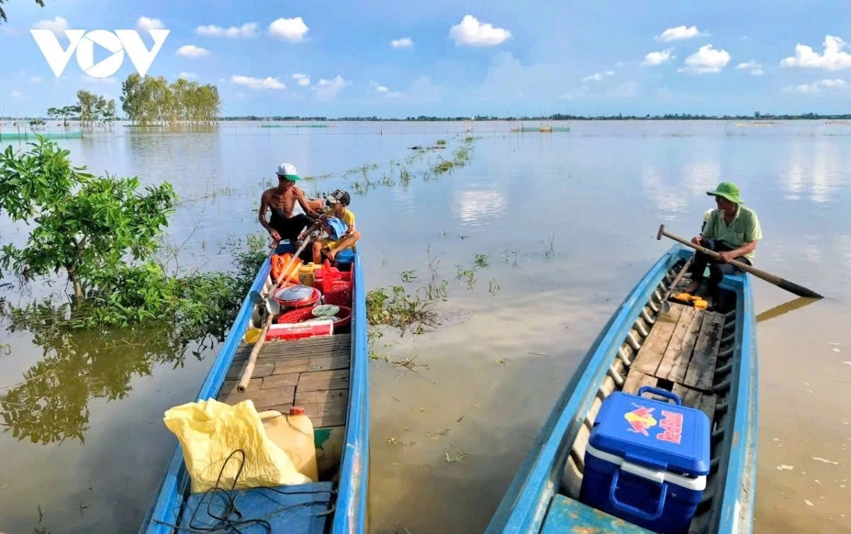 During August-November period, water levels rise and rivers and canals flood low-lying areas, therefore the period in the Mekong Delta region is known as the floating season.