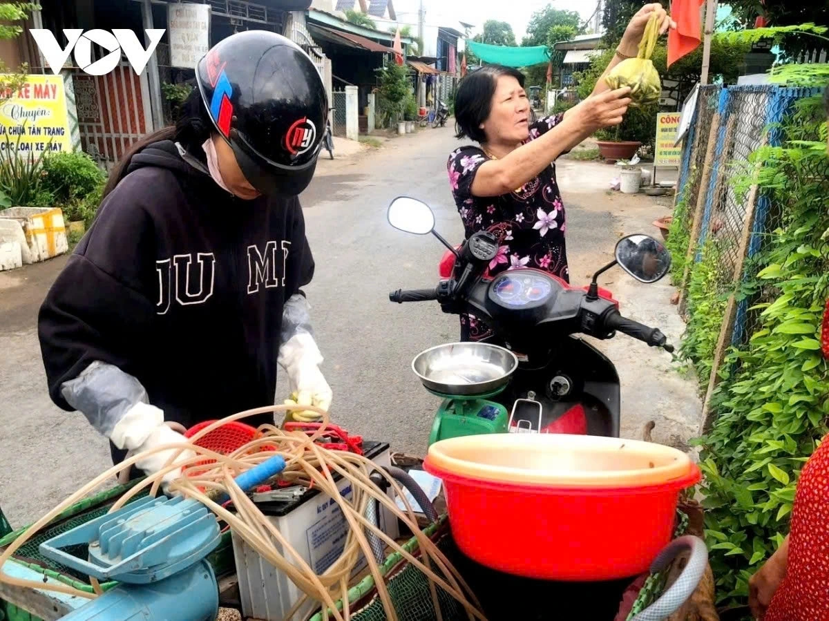 Linh fish are pumped with oxygen and transported to sell to people on roads.