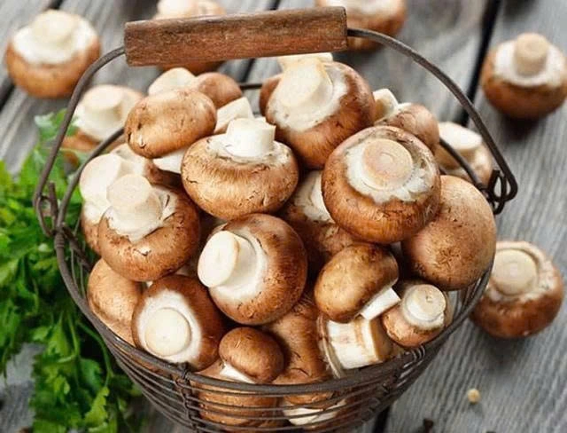 Nấm là thực phẩm giàu dinh dưỡng, dễ chế biến và mang lại nhiều lợi ích cho sức khỏe
