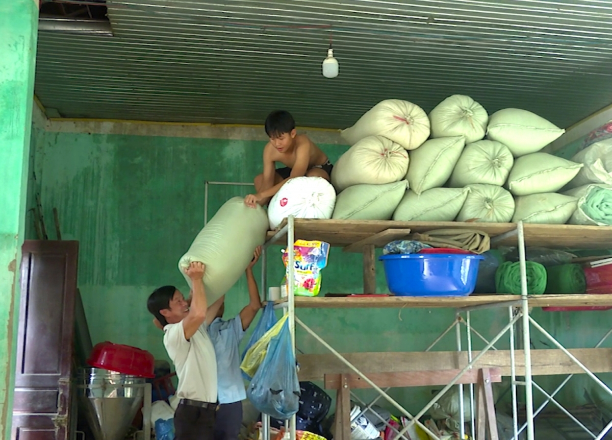 Người dân vùng trũng kê lúa dự trữ lên chỗ cao
