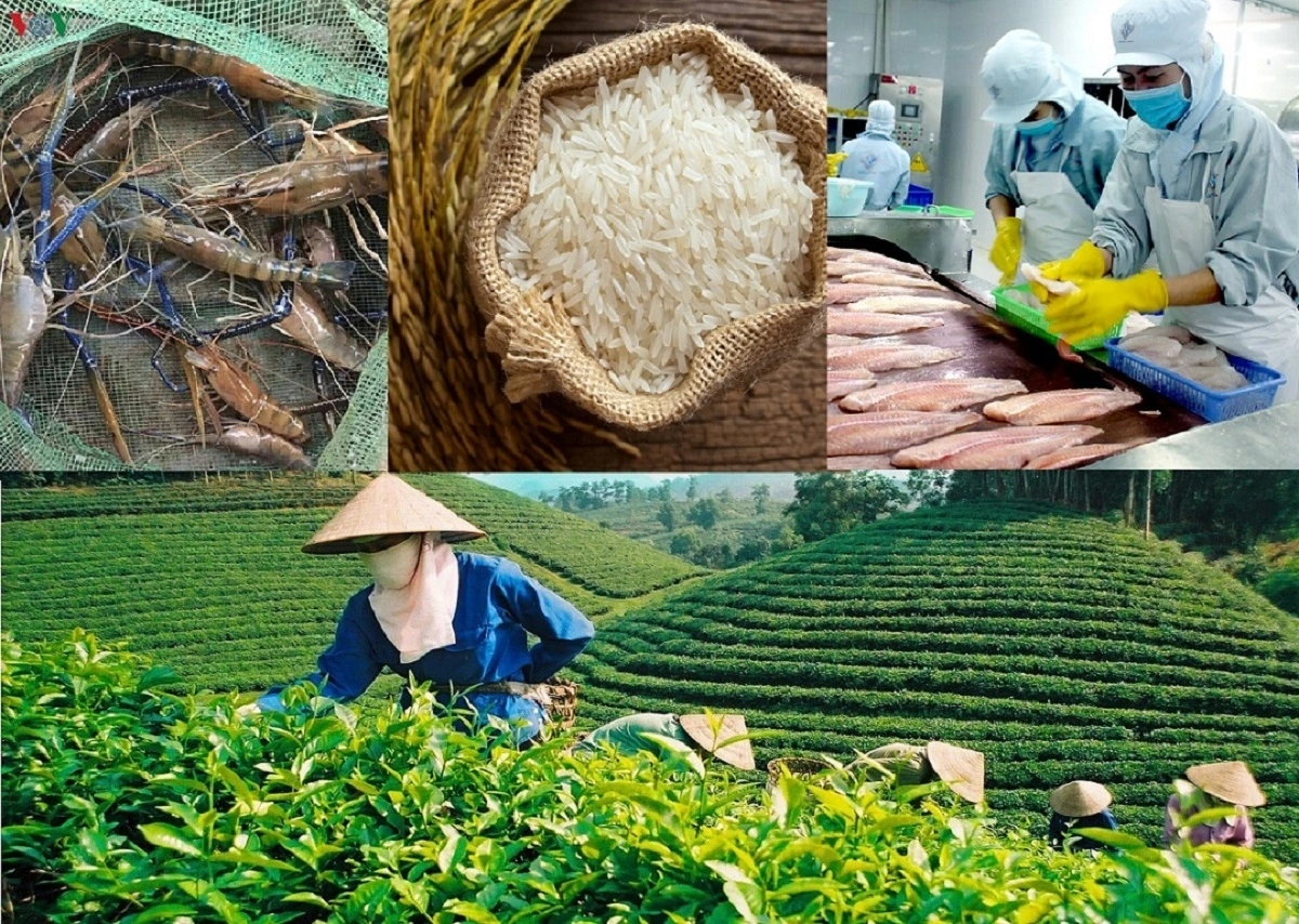 Xuất khẩu nông, lâm, thủy sản tăng 14% sau 9 tháng, đạt hơn 52 tỷ USD