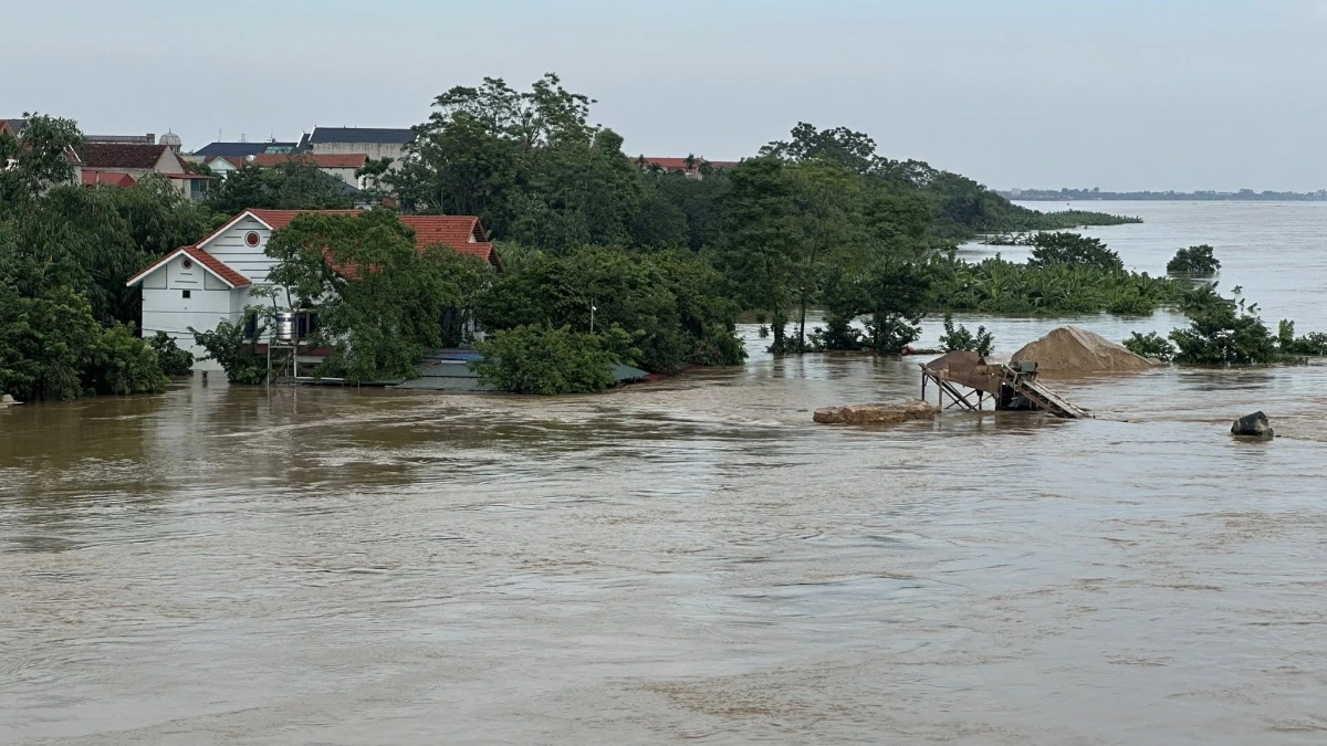 Hàng trăm bến bãi, nhà xưởng của các doanh nghiệp ven sông hiện đang ngập sâu trong nước. Ảnh PTO.