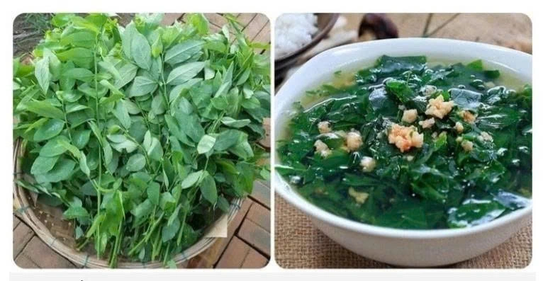 Rau ngót được biết đến như một bài thuốc dân gian giúp lợi sữa, thường được khuyên dùng cho phụ nữ sau sinh