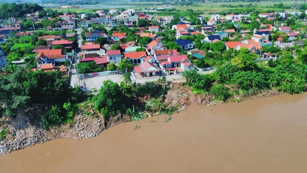 UBND tỉnh Phú Thọ đang xem xét công bố tình huống khẩn cấp về thiên tai đối với 2 điểm sạt lở nghiêm trọng trên tuyến đê Hữu Thao thuộc địa bàn các xã Hiền Quan, Tam Nông. Ảnh TQ.