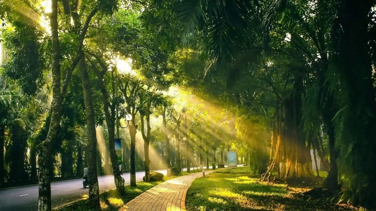 Bắc Bộ và Thanh Hóa ngày nắng, lạnh về đêm và sáng