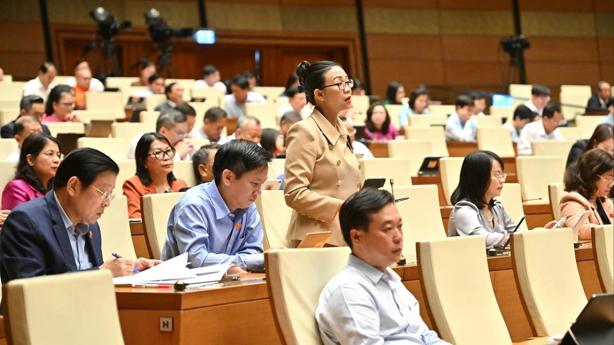 Đại biểu Trịnh Thị Tú Anh (Lâm Đồng)