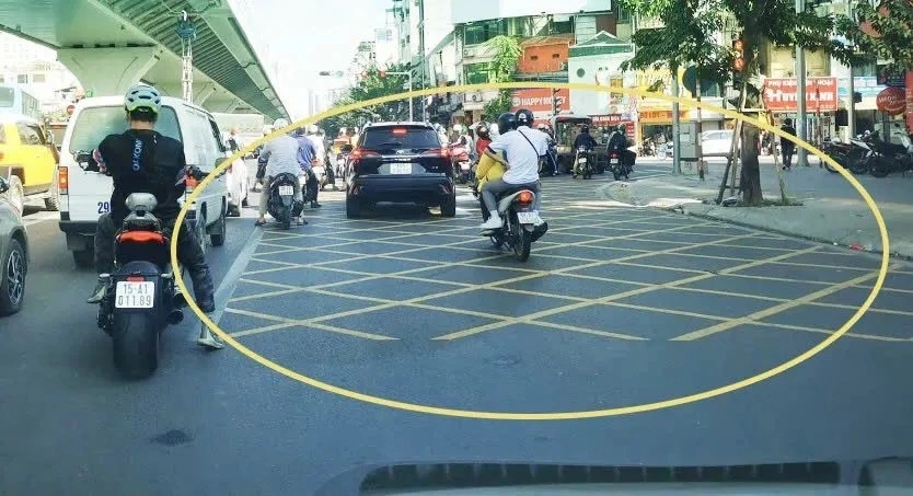 Vạch mắt võng. (Ảnh minh họa: KT)
