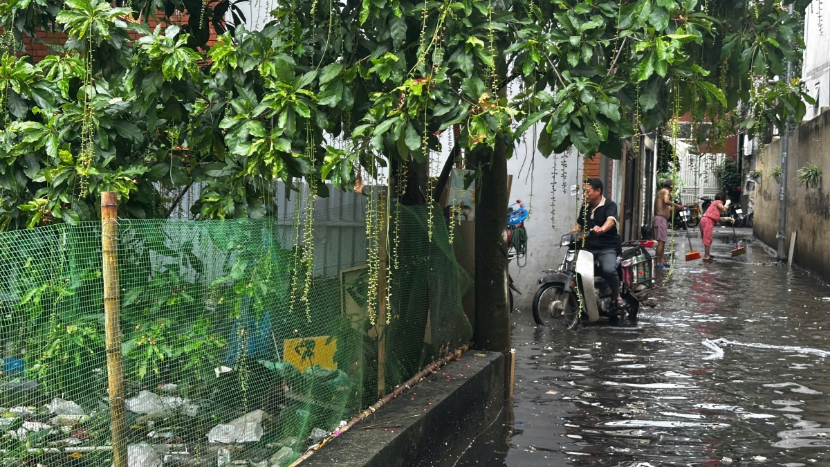 Ghi nhận của phóng viên ngõ 39 Tứ Liên, phường Hồng Hà, Hà Nội một ngày sau những cơn mưa lớn ngày 30/9. Nước mưa hoà lẫn nước cống ngập lênh láng nhiều đoạn thành sông.