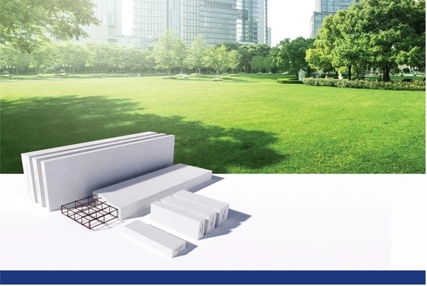 Bê tông khí chưng áp Viglacera là thành viên Hiệp Hội Công trình Xanh Singapore
