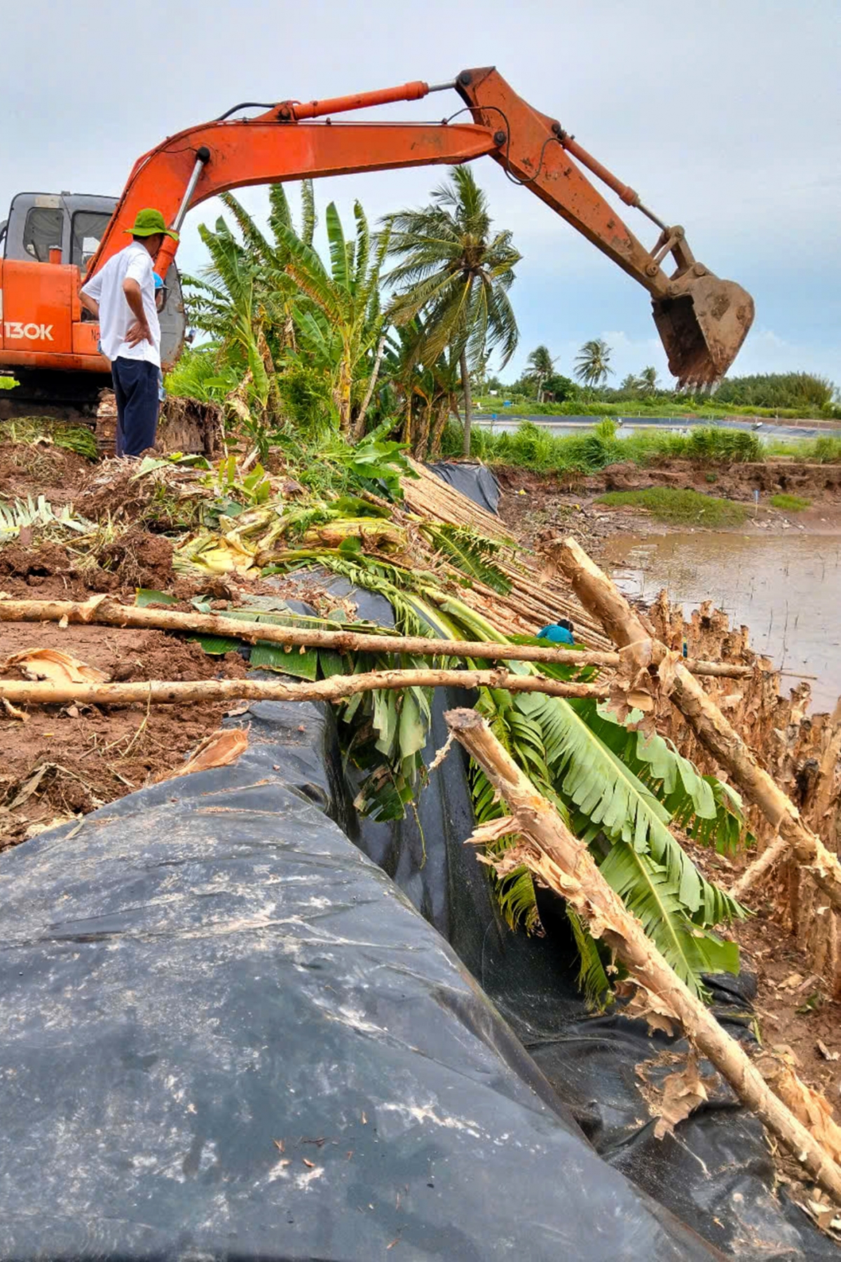 Xã Vĩnh Long huy động cơ giới gia cố bờ bao bảo vệ đất sản xuất cho người dân (Ảnh do xã cung cấp)