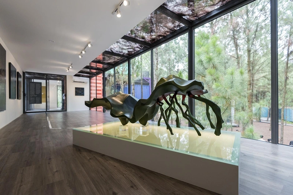 Không gian trưng bày giữa rừng thông