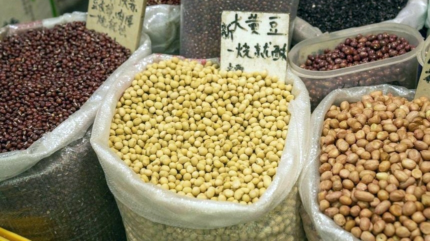 Đậu nành là mặt hàng nông sản lớn nhất của Mỹ xuất khẩu vào Trung Quốc, với kim ngạch đạt gần 13 tỷ USD trong năm 2024 - Ảnh: Getty Images