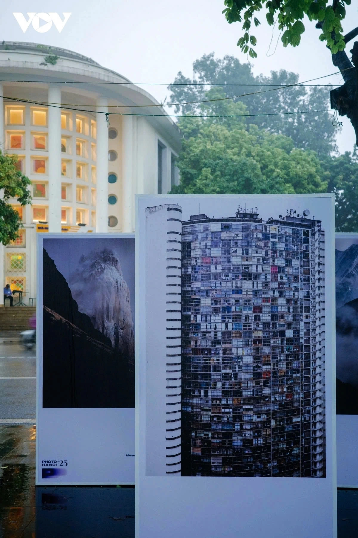 Each photograph captures a slice of nature that feels both intimate and distant, serene yet thought-provoking, highlighting the shrinking of natural spaces amid rapid urbanisation.