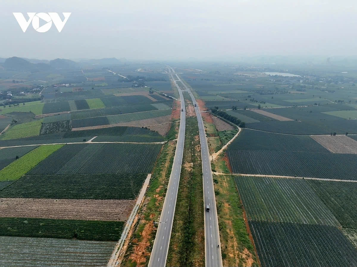 Cánh đồng dứa Đồng Giao nhìn từ trên cao trải dài bạt ngàn, những luống dứa xanh mướt xen lẫn sắc vàng của quả chín, tạo nên bức tranh sinh động giữa vùng bán sơn địa Ninh Bình.