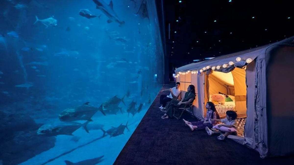 Chương trình "Giấc mơ Đại dương" tại Singapore Oceanarium