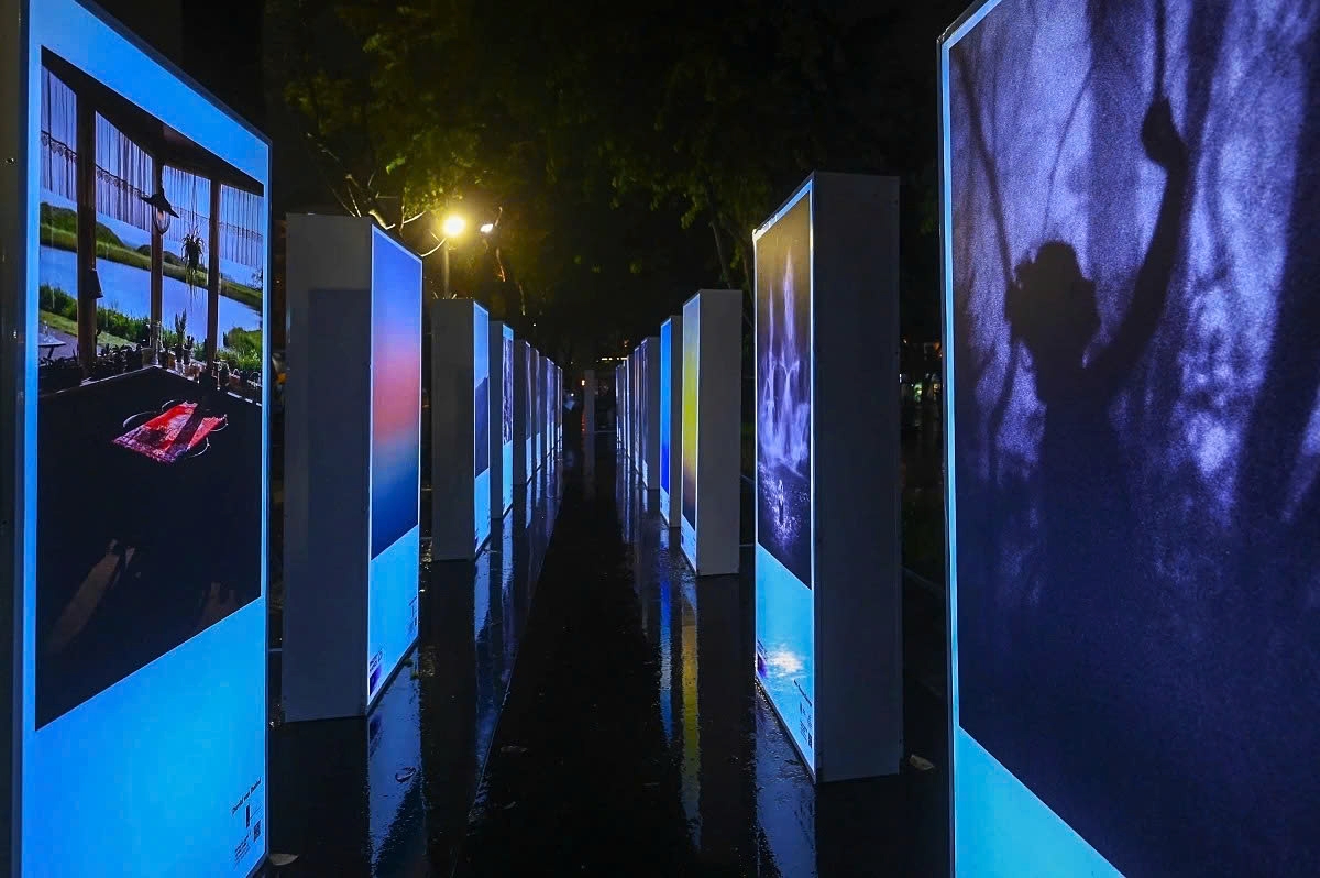 These light boxes also evoke smartphone screens, emphasising how technology mediates human connection with nature, both linking and distancing people from it.