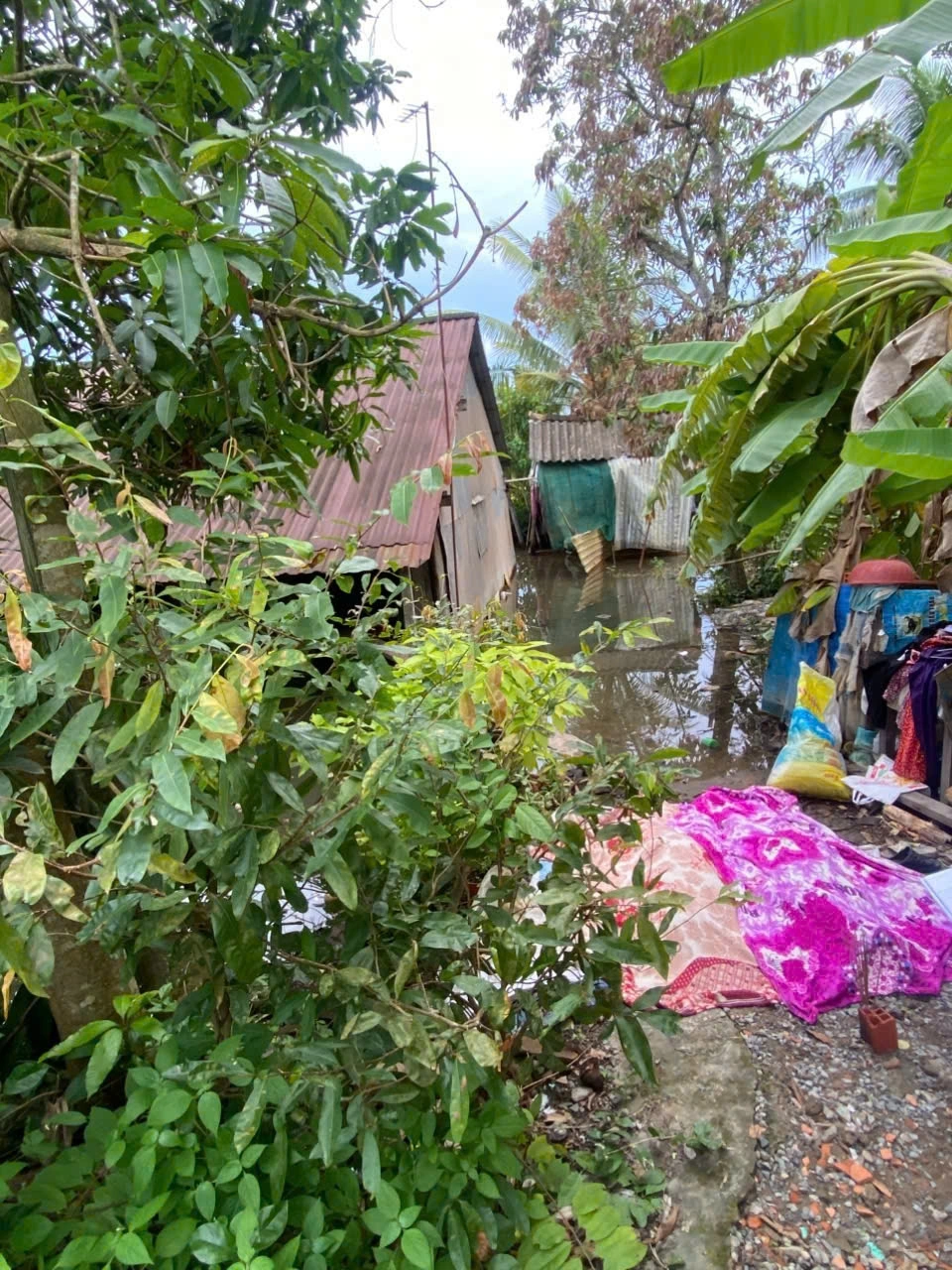 Khu vực căn nhà thô sơ bị ngập nước có thể do điện giật dẫn đến 2 người tử vong