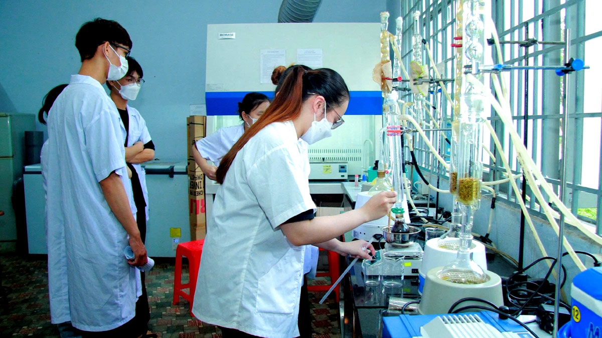 Sinh viên trường Đại học Nông Lâm TP.HCM đang làm thực hành, thí nghiệm (Ảnh: NLU)