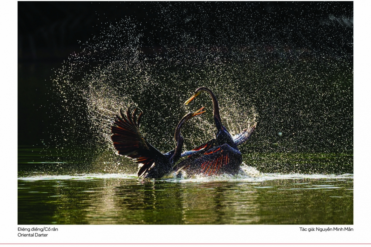 “Vũ điệu từ thiên nhiên” là lời nhắc nhở đầy cảm xúc về mối liên kết giữa con người và thiên nhiên – nơi mỗi sinh vật đều góp phần tạo nên bản nhạc cuộc sống.