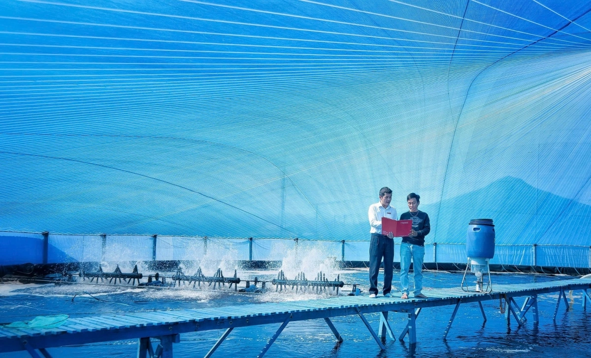 Một dự án năng lượng điện gió có nguồn vay từ Agribank