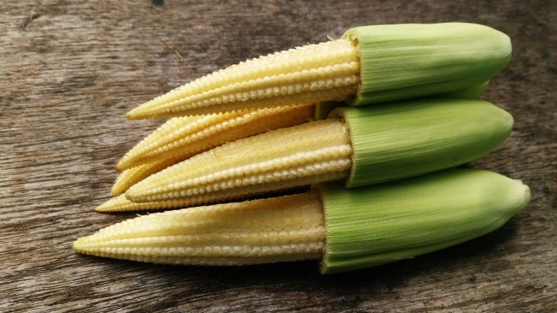 Với hàm lượng dinh dưỡng cao, vị ngon tự nhiên và khả năng chế biến linh hoạt, bắp non là nguyên liệu phù hợp cho mọi lứa tuổi