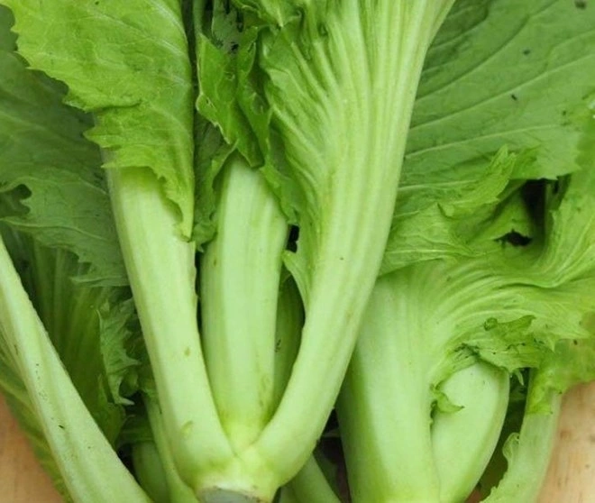 Cải bẹ xanh là “món quà xanh” của tự nhiên, giúp tăng sức đề kháng, bảo vệ tim mạch và làm đẹp da