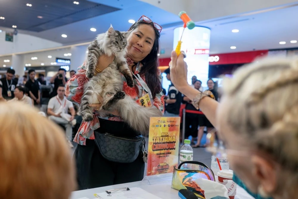 Beyond its professional significance, the event also serves as an opportunity for Vietnam to meet with other countries in the region, while donating part of its proceeds to pet rescue organizations such as Vườn Mèo Lang Thang (Cat Garden Shelter) and Sân Nhà Nhiều Chó (Backyard Squad).